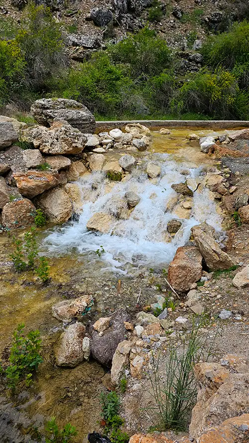 acıpayam canyon and flora image dataset (111)