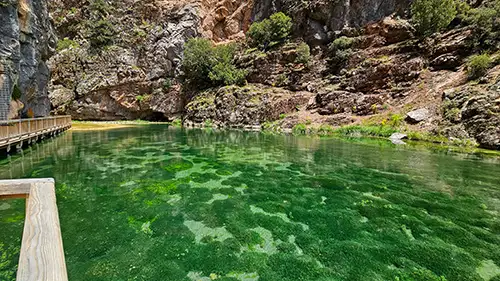 acıpayam canyon and flora image dataset (115)