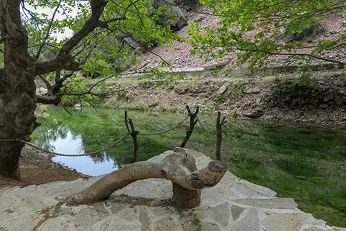 acıpayam canyon and flora image dataset (21)