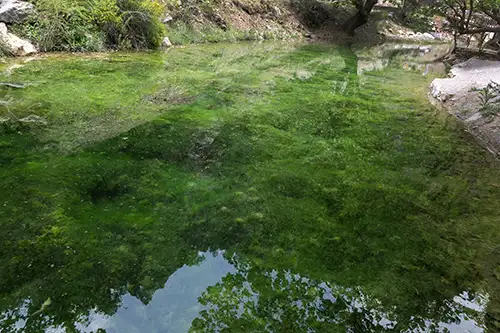 acıpayam canyon and flora image dataset (25)