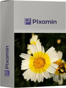 chrysanthemum coronarium daisy cover