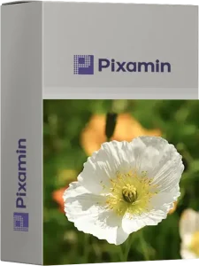 papaver nudicaule poppy flower dataset