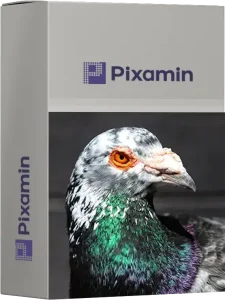 pigeon colored image dataset cover