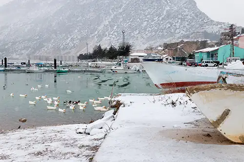 snowy shoreline frozen lakefront & winter boats collection (128)
