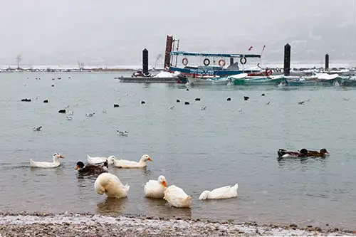 snowy shoreline frozen lakefront & winter boats collection (129)