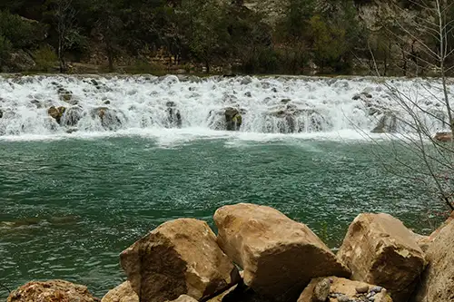alarahan (64)
