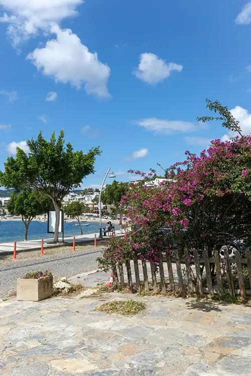 bodrum 2023 (115)