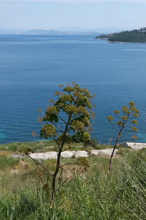 bodrum 2023 (12)