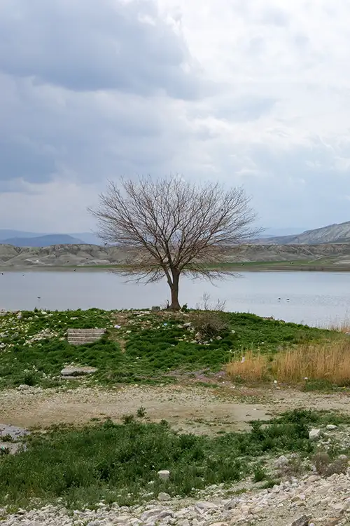 çayırhan (1)