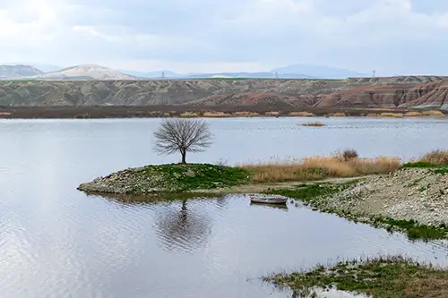 çayırhan (100)