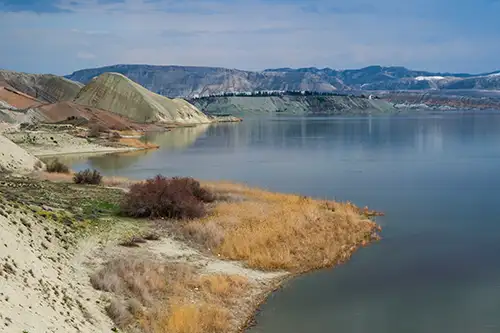 çayırhan (110)