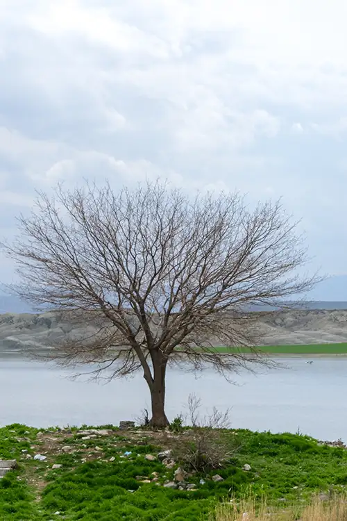 çayırhan (15)