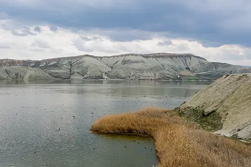 çayırhan (200)