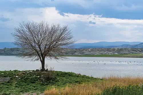 çayırhan (81)