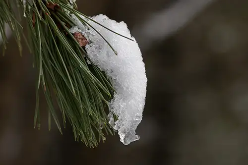 lakeshore snow and ice detail (43)