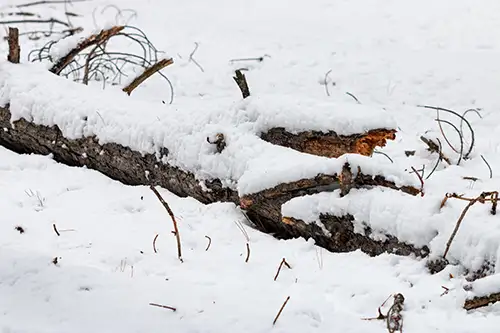 lakeshore snow and ice detail (55)
