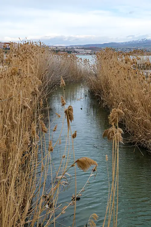 mogan gölü (68)