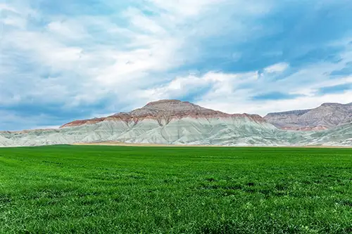 nallıhan (102)