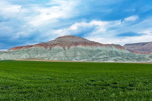 nallıhan (104)