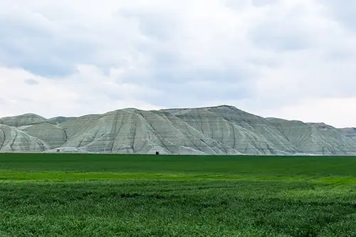 nallıhan (212)