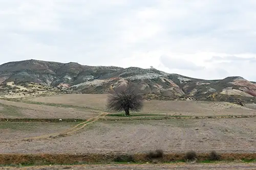 nallıhan (45)