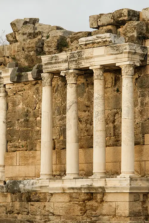 side (11)