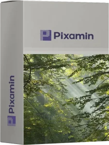 sunlight in the forest imaga dataset cover