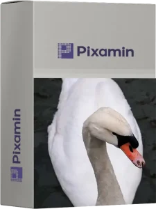 white swan image dataset cover